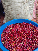 Filterkaffee „Mount Elgon - Funky Natural“